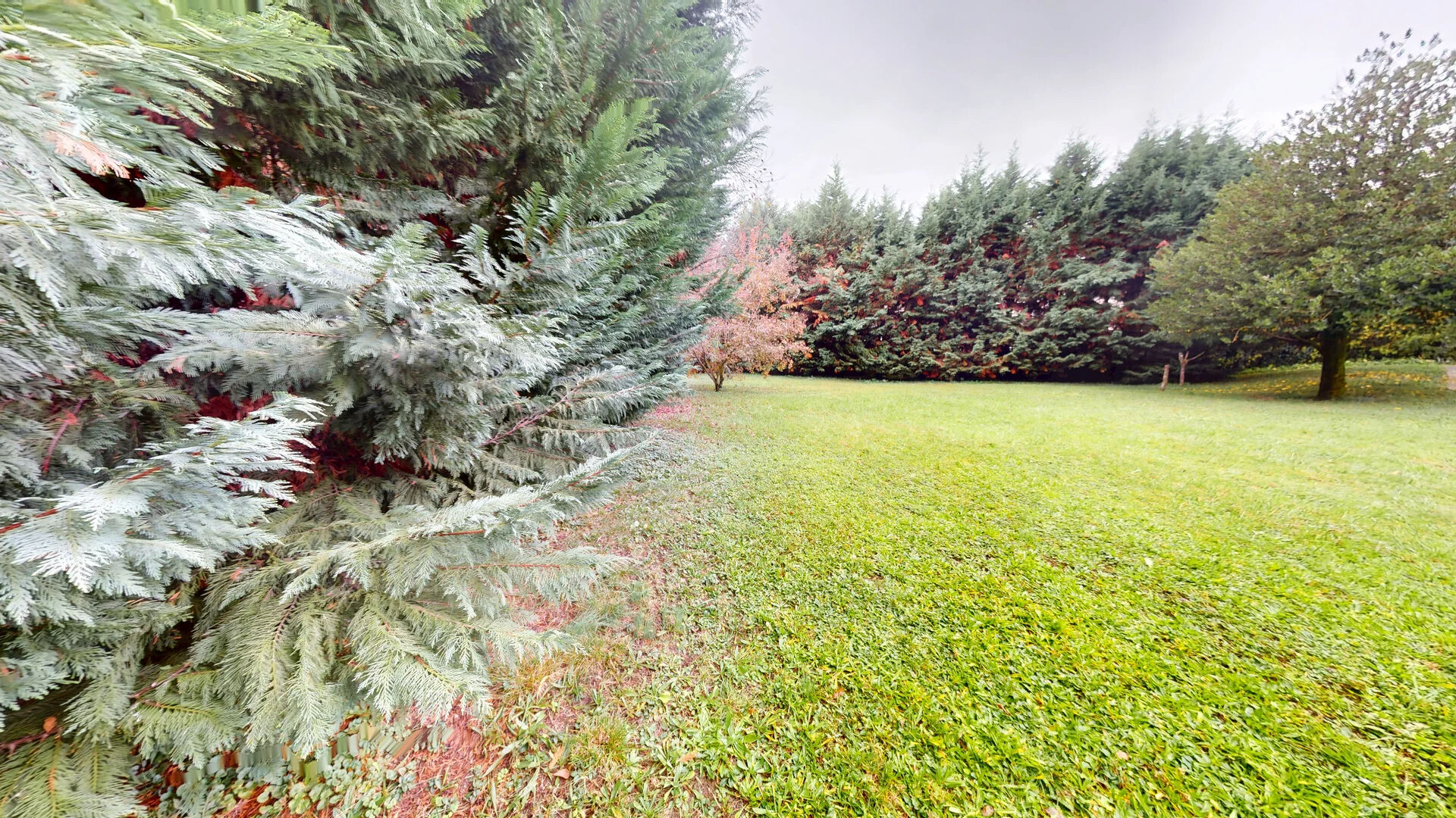 Agence immobilière de AGENCE GAYA Grenoble Chavant