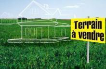 Agence immobilière de AGENCE DES FLEURS Elbeuf