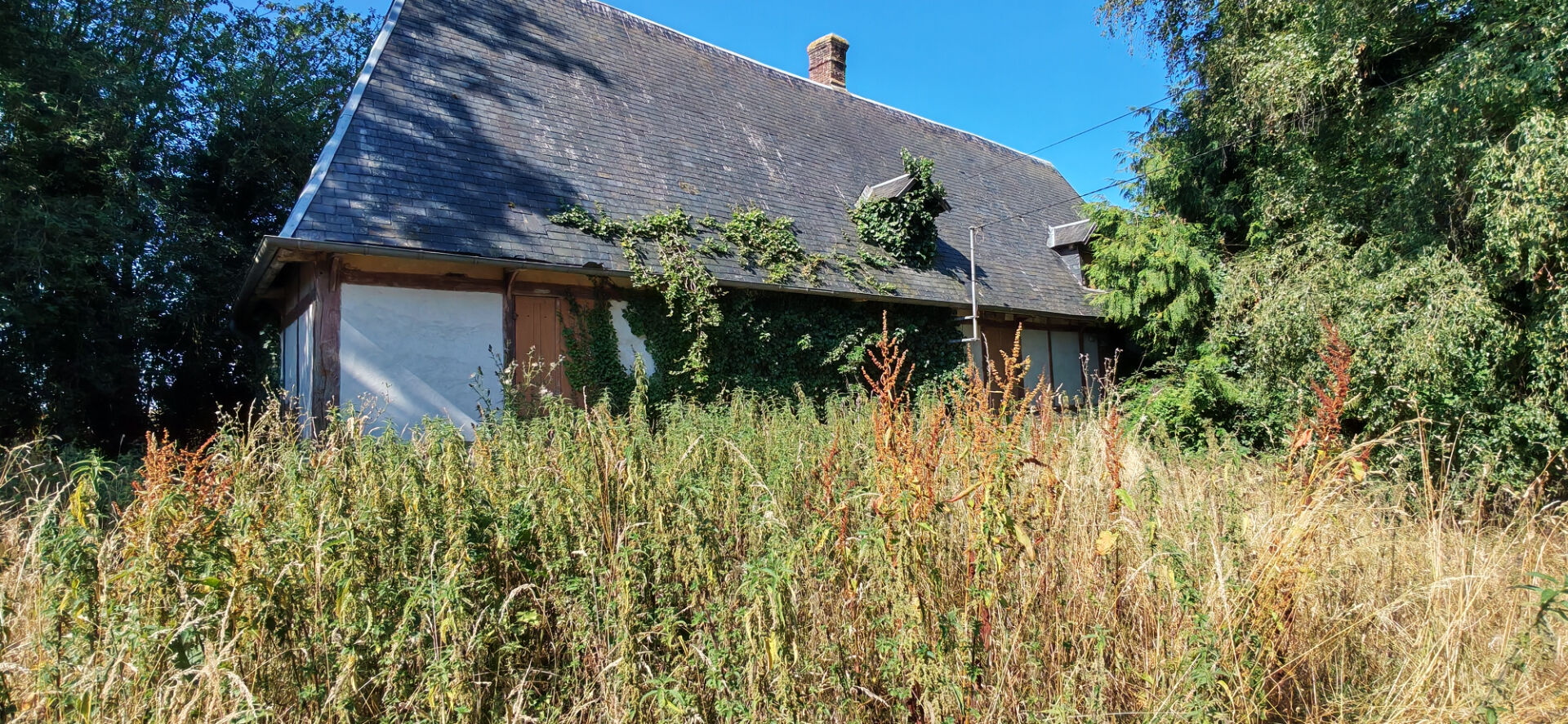 Agence immobilière de AGENCE DES FLEURS Elbeuf