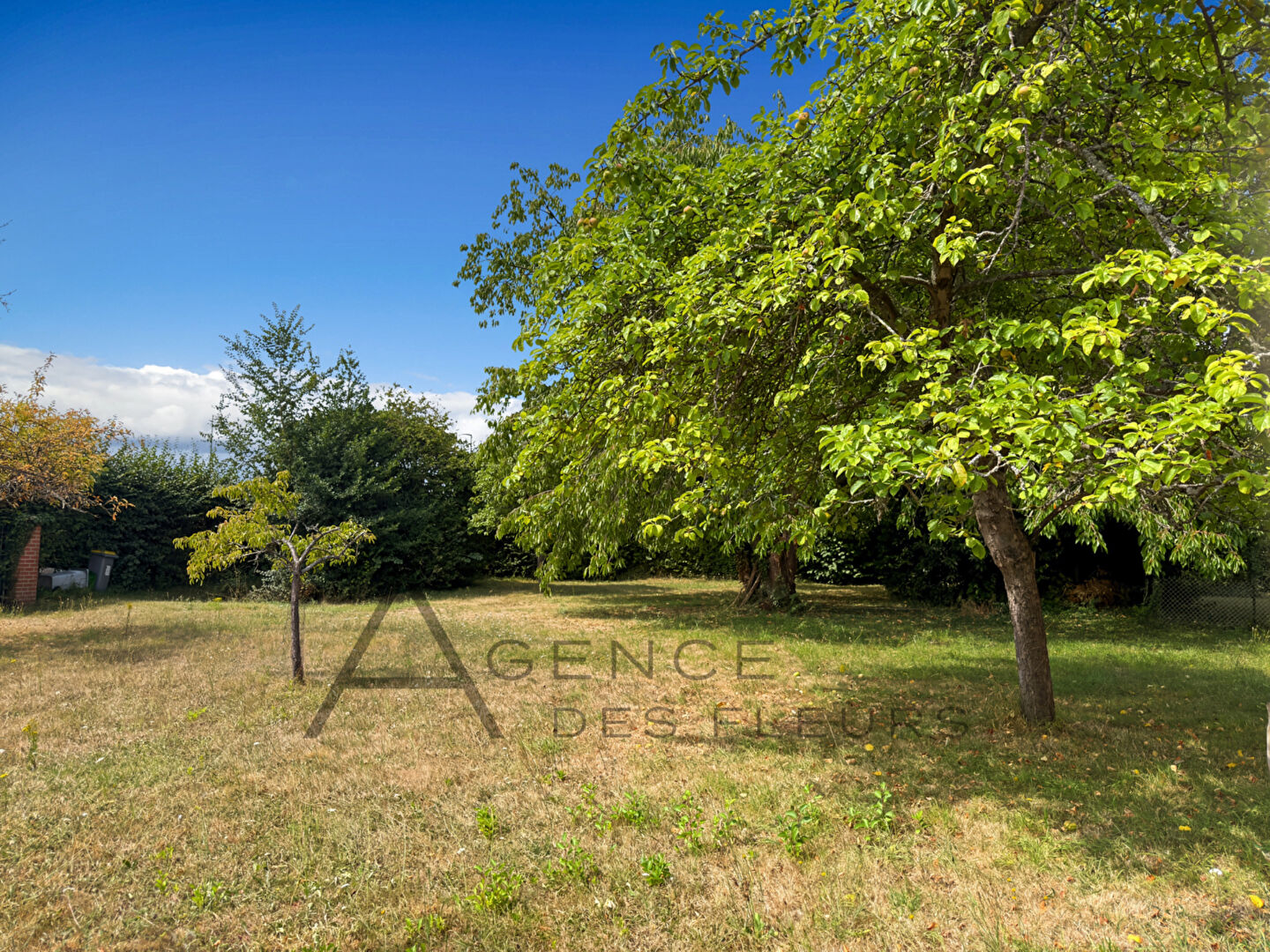 Agence immobilière de AGENCE DES FLEURS Elbeuf