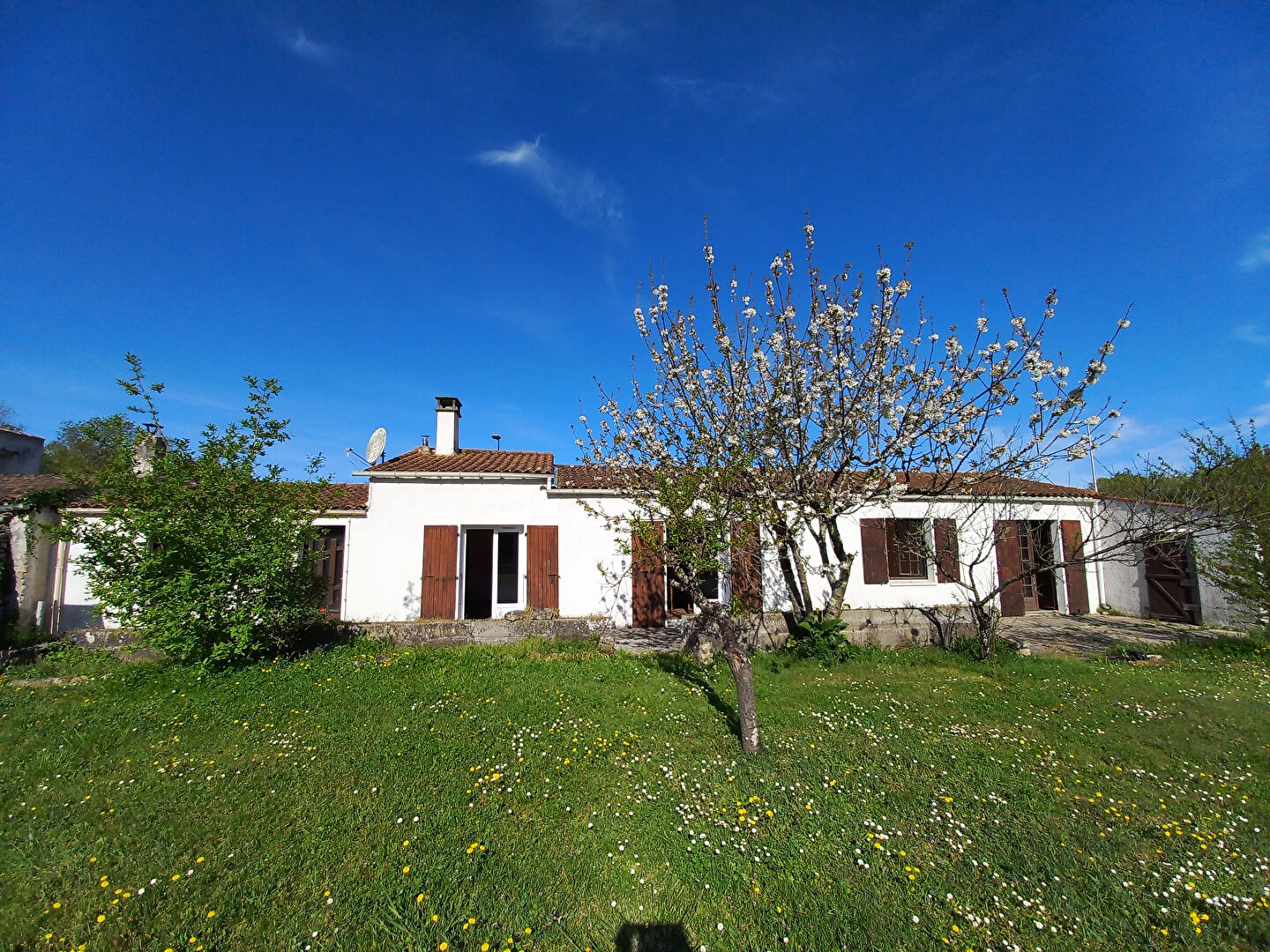 Agence immobilière de Agence DELILLE Saint Pierre - Agence DELILLE Saint Pierre d'Oléron