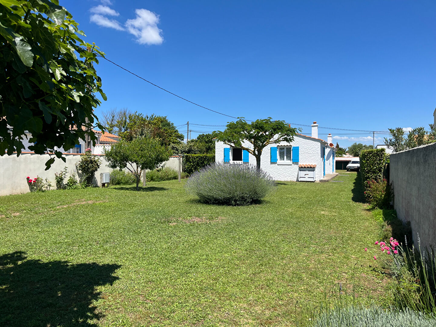 Agence immobilière de Agence DELILLE Saint Pierre - Agence DELILLE Saint Pierre d'Oléron