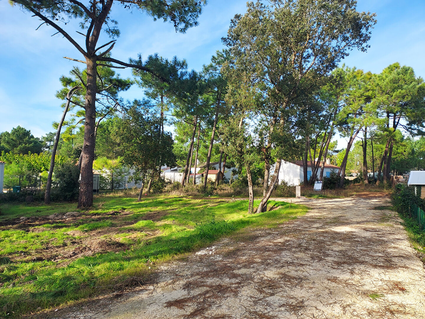 Agence immobilière de Agence DELILLE Saint Pierre - Agence DELILLE le Château d'Oléron