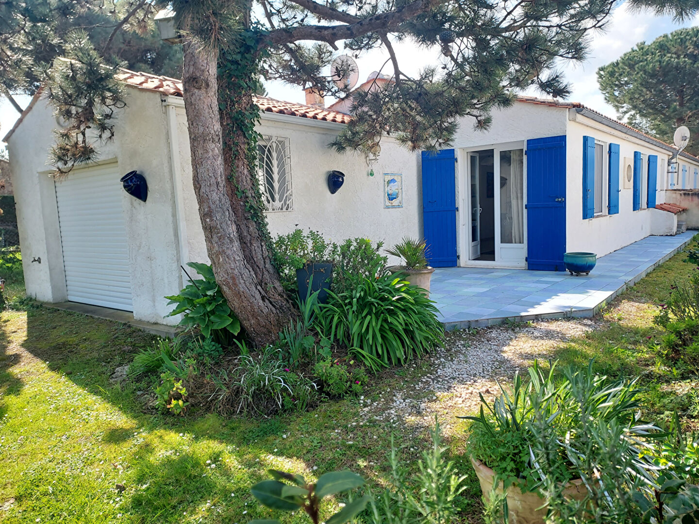 Agence immobilière de Agence DELILLE Saint Pierre - Agence DELILLE Saint Denis d'Oléron