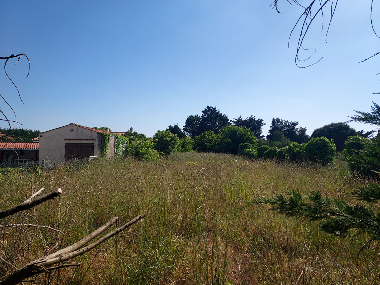 Agence immobilière de Agence DELILLE Saint Pierre - Agence DELILLE le Château d'Oléron