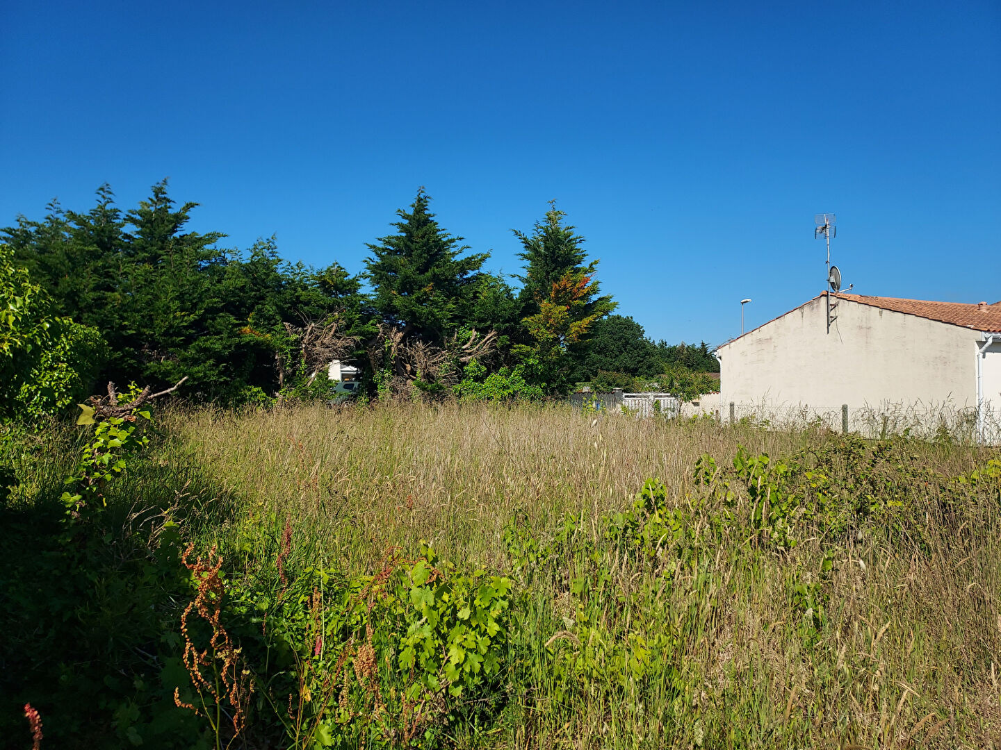 Photo Côte Ouest - Terrain à bâtir 1544 m2 image 3/5