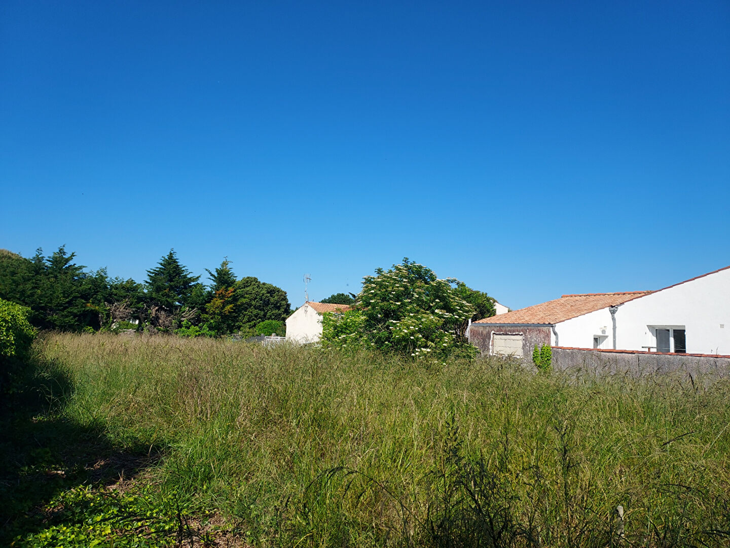 Photo Côte Ouest - Terrain à bâtir 1544 m2 image 4/5