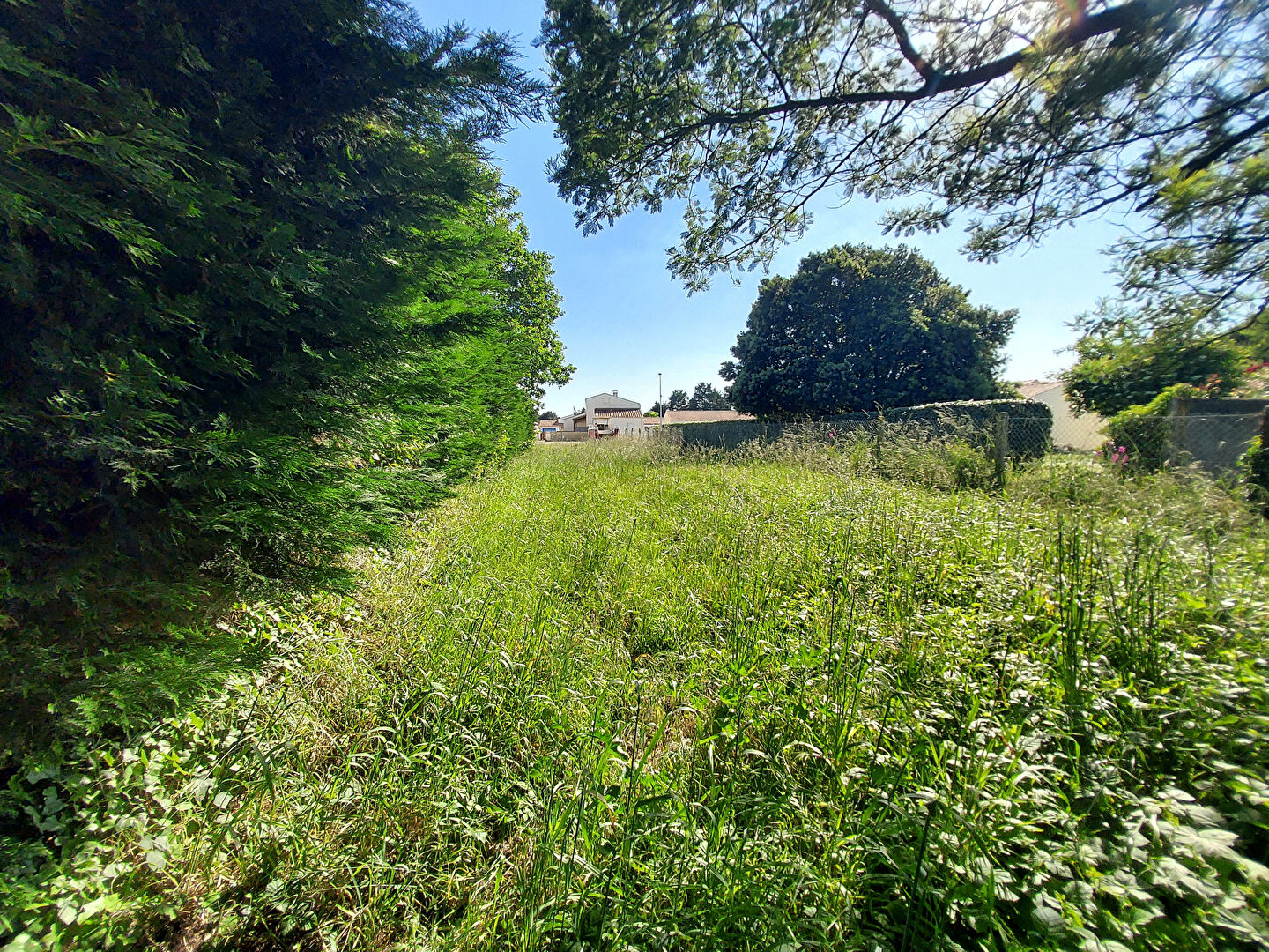 Photo Côte Ouest - Terrain à bâtir 5482m² image 4/6