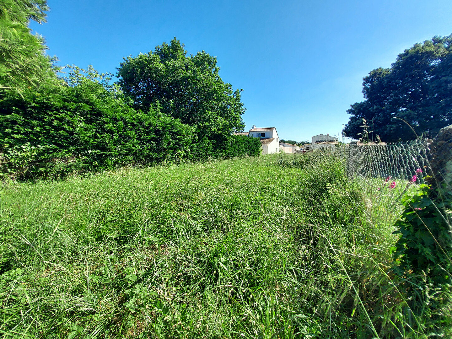 Photo Côte Ouest - Terrain à bâtir 5482m² image 5/6