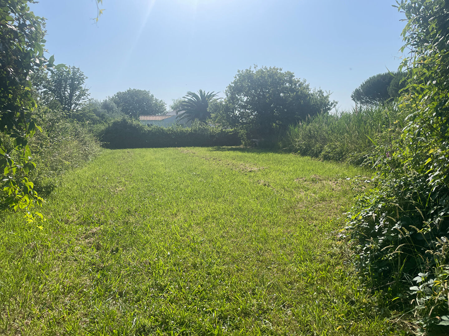 Photo Terrain Le Grand Village Plage 844 m2 image 2/5