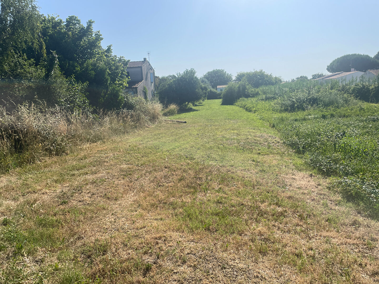 Photo Terrain Le Grand Village Plage 844 m2 image 4/5