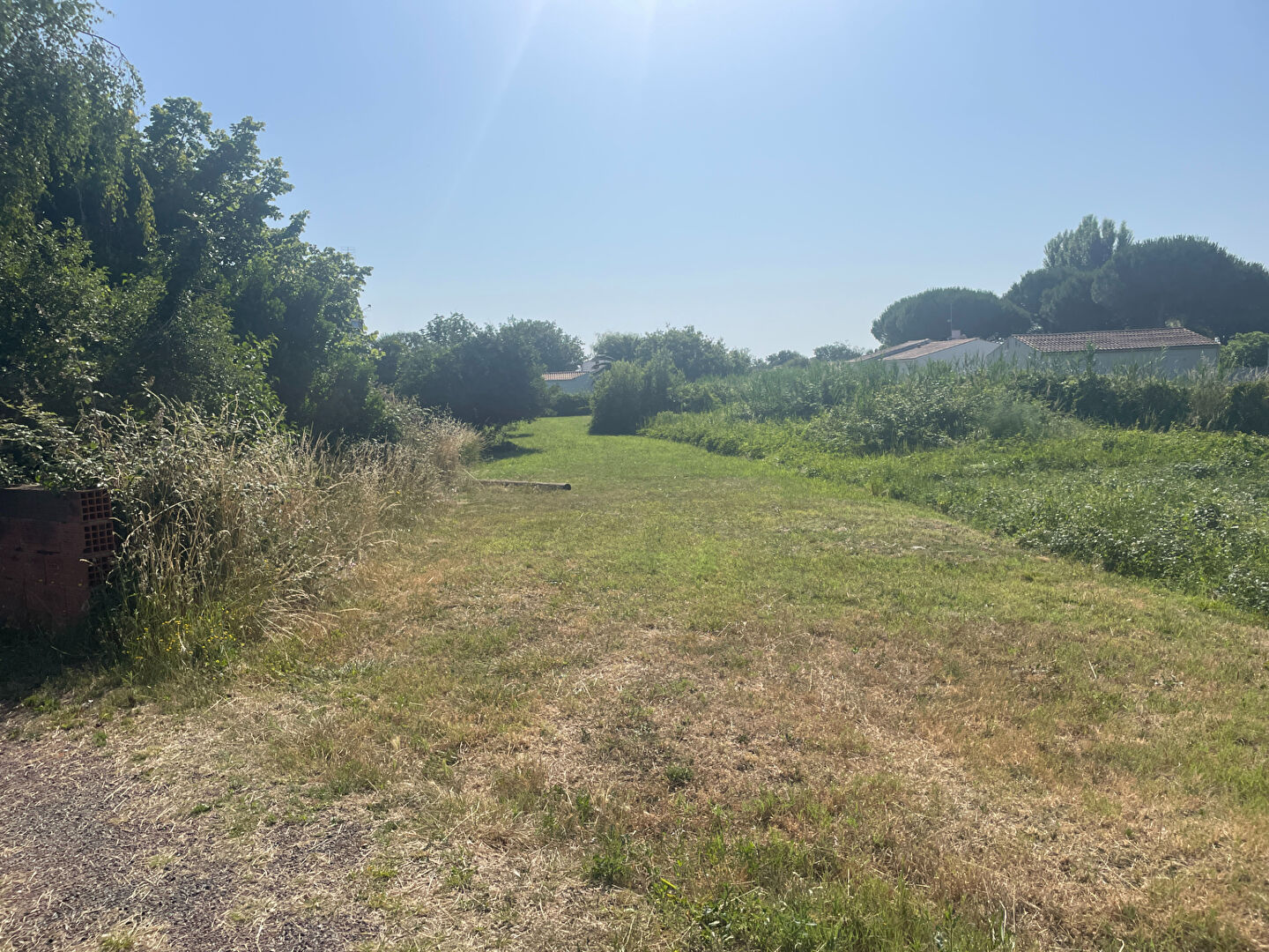 Photo Terrain Le Grand Village Plage 844 m2 image 5/5