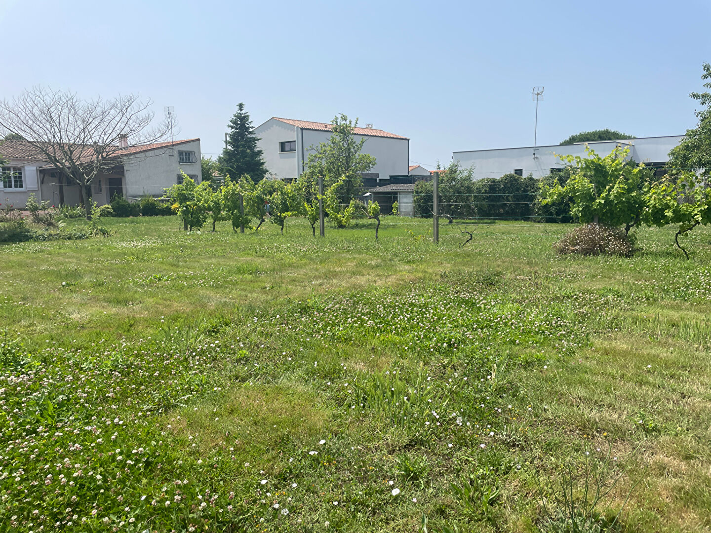 Photo Terrain Bourcefranc Le Chapus 687 m² image 2/2