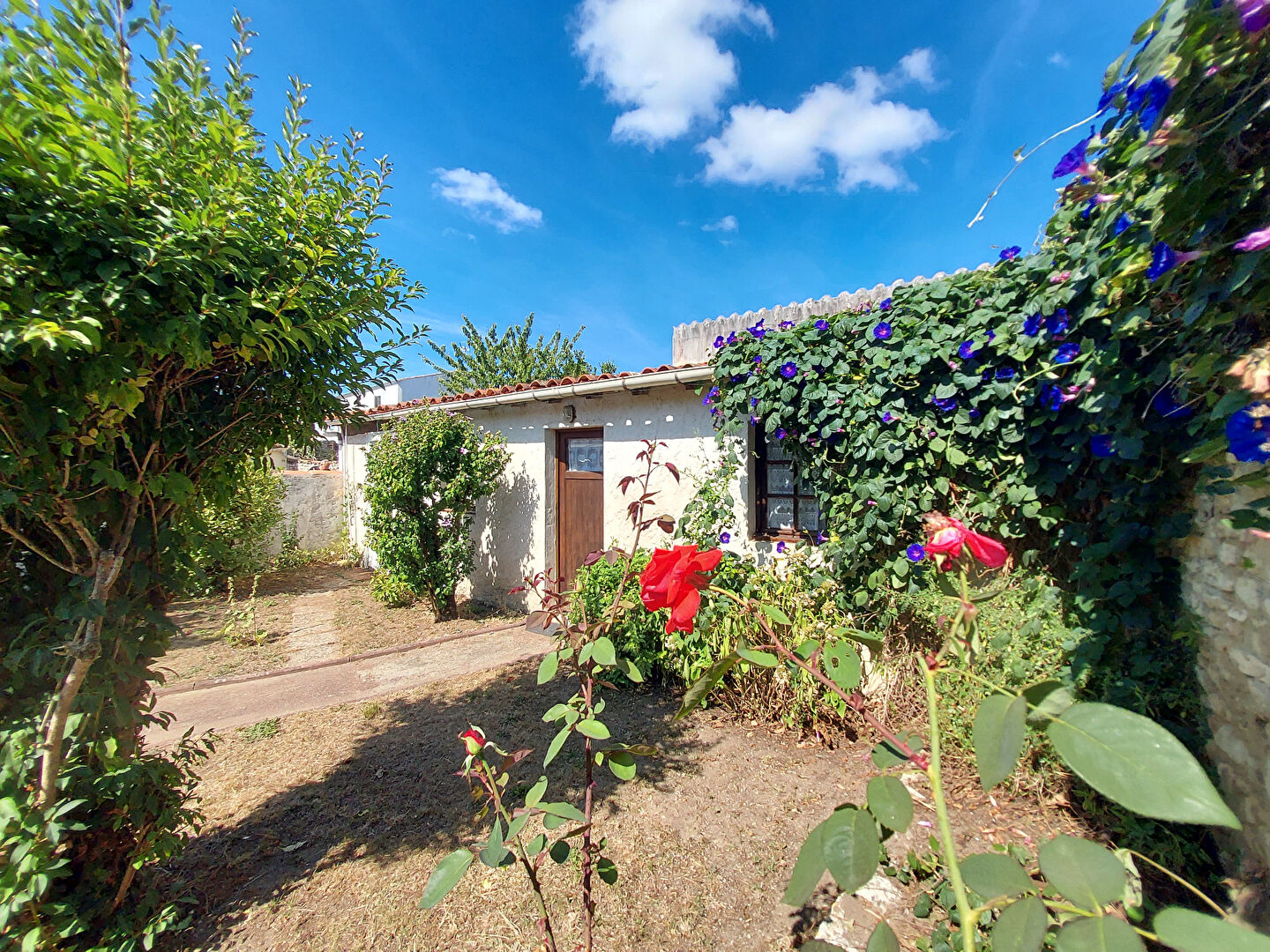 Photo Ensemble immobilier - Dolus Centre image 5/6