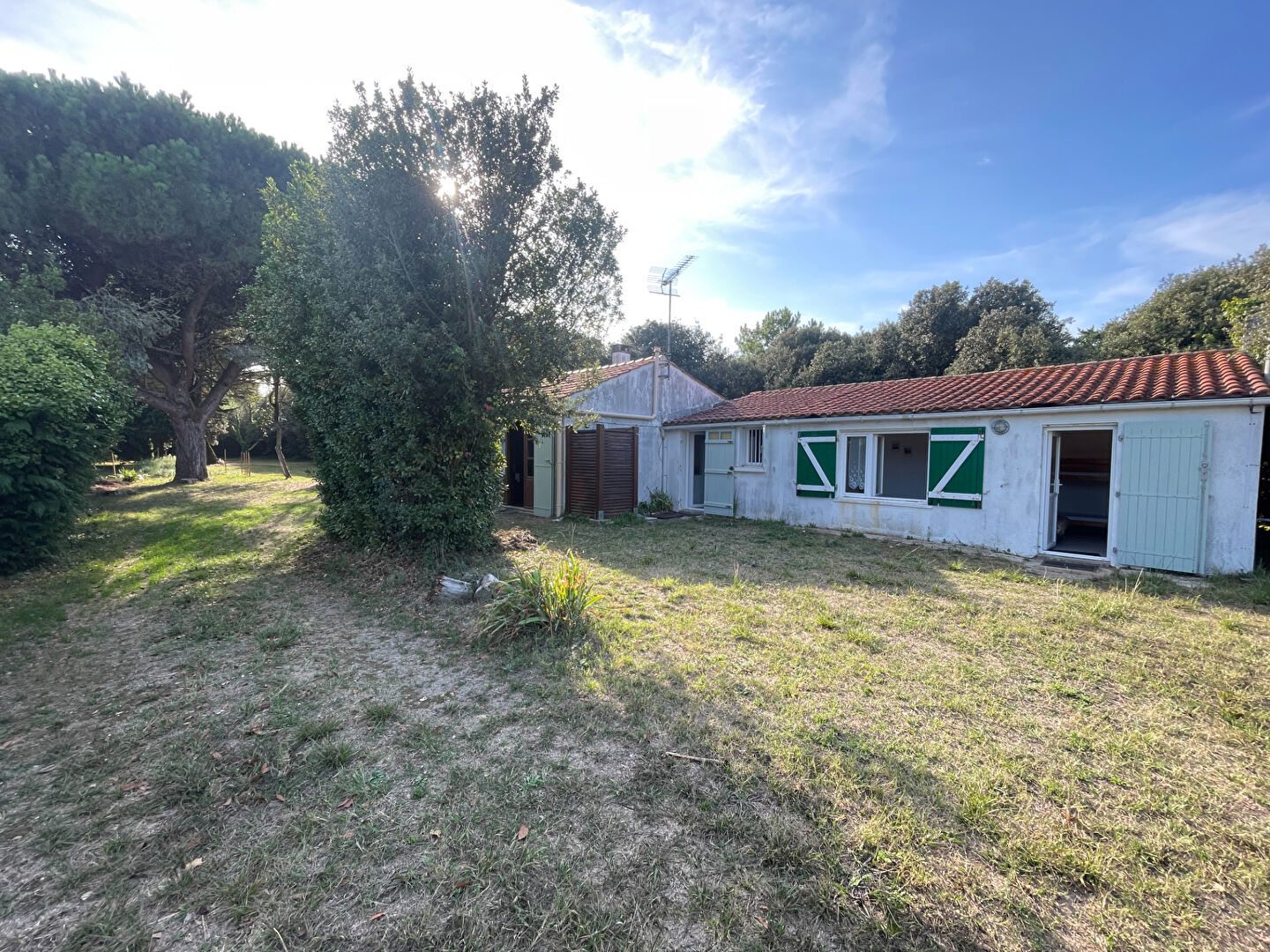 Agence immobilière de Agence DELILLE Saint Pierre - Agence DELILLE Saint Pierre d'Oléron
