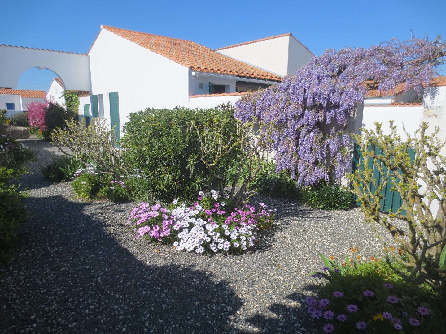 Agence immobilière de Agence DELILLE Saint Pierre - Agence DELILLE Saint Denis d'Oléron