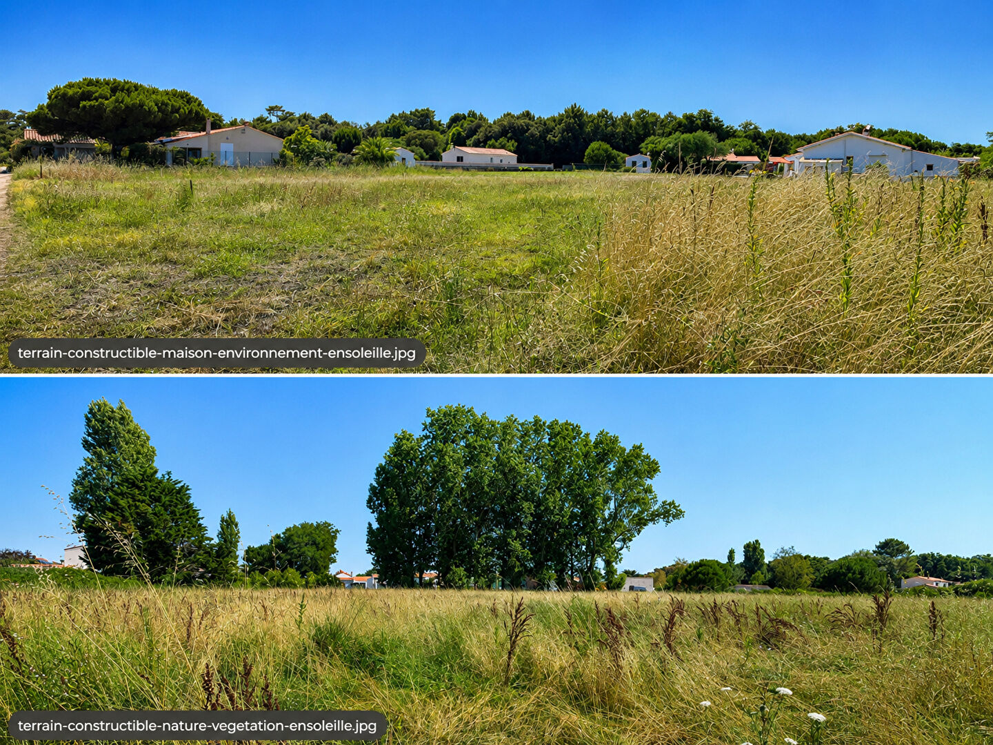 Agence immobilière de Agence DELILLE Saint Pierre - Agence DELILLE Saint Pierre d'Oléron