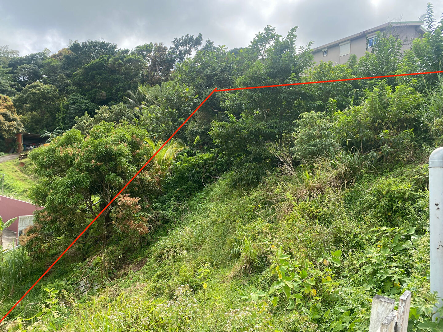 Photo Terrain Rivière Pilote - 861 m2 image 4/4