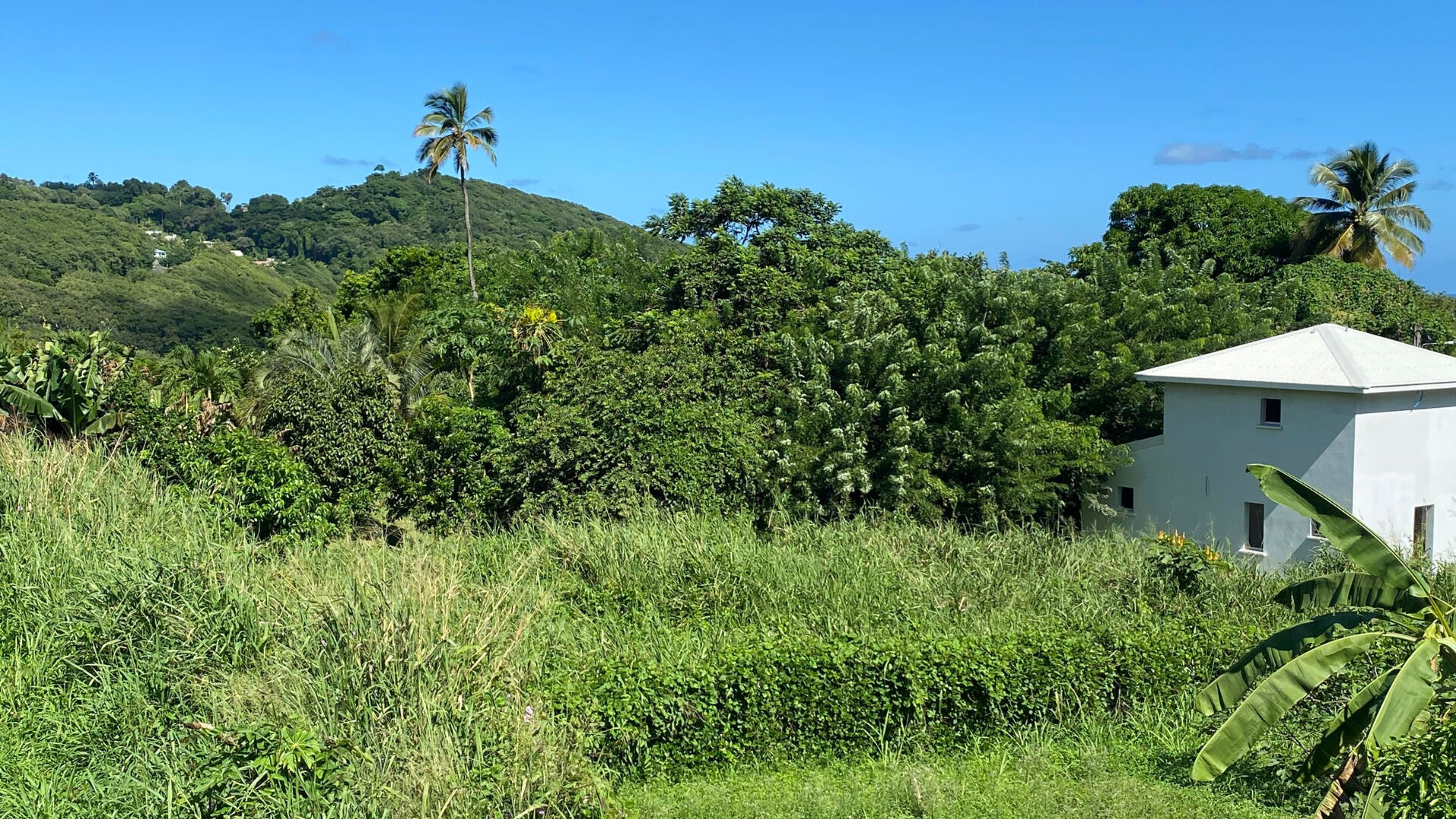 Photo Terrain  585 m2 image 1/2