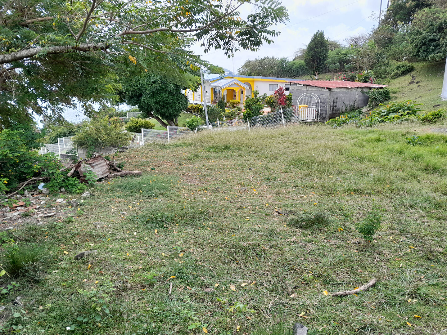 Photo Terrain Le Marin 377 m2 image 3/3