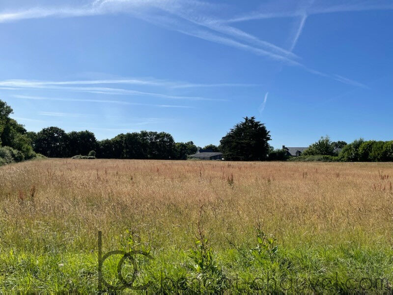 Terrain à bâtir viabilisé de 453 m² - Le Hézo (56450) - Proche Golfe du Morbihan