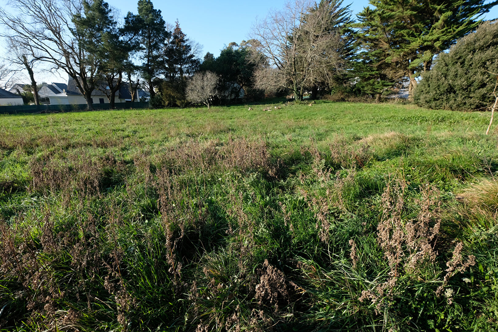 Agence immobilière de Cabinet Beneat Chauvel Arzon Sarzeau - Cabinet BENEAT-CHAUVEL