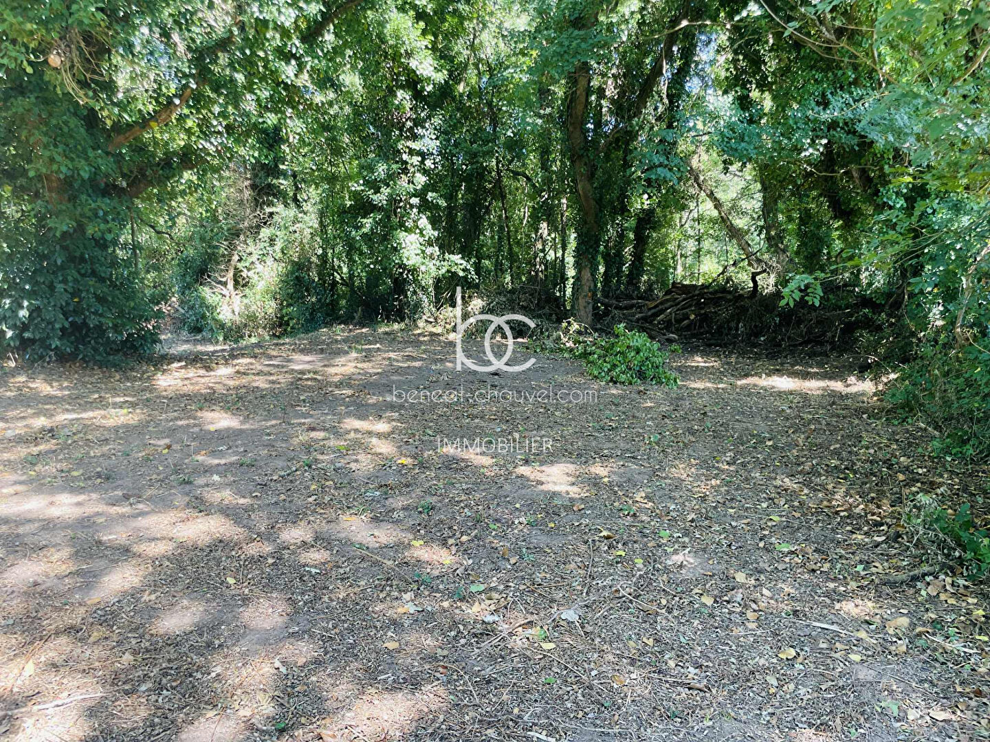 Vente Terrain à Bâtir 717 m² SARZEAU (56370) - Proche GOLFE DU MORBIHAN - Non Viabilisé