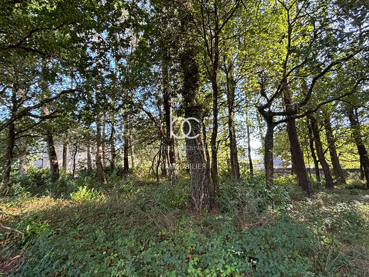 Agence immobilière de Cabinet Beneat Chauvel Arzon Sarzeau - Cabinet BENEAT-CHAUVEL Vannes