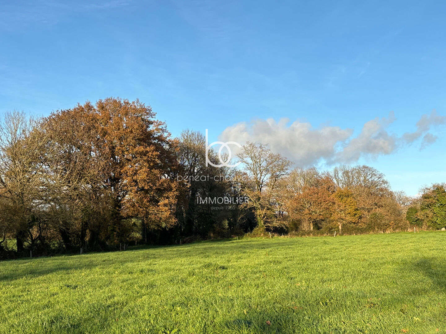 Terrain Berric 2129 m2