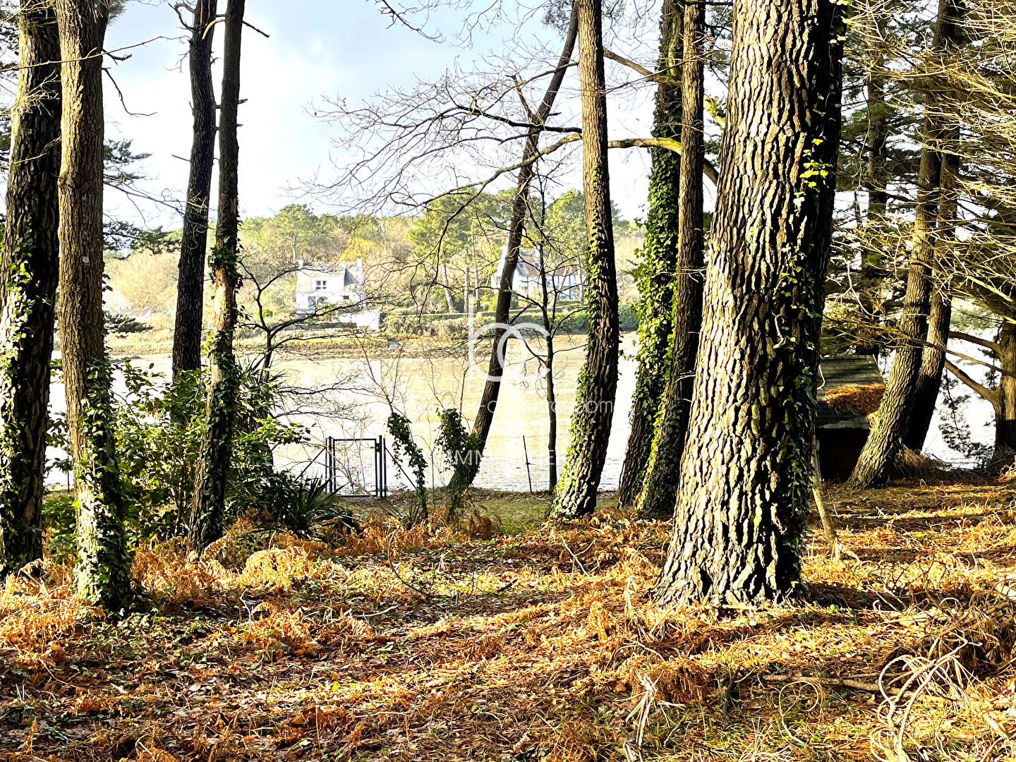 Agence immobilière de Cabinet Beneat Chauvel Arzon Sarzeau - Cabinet BENEAT-CHAUVEL Vannes