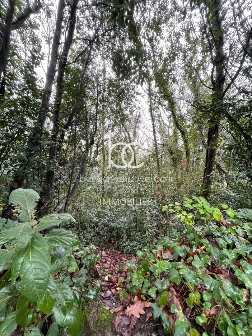 Agence immobilière de Cabinet Beneat Chauvel Arzon Sarzeau - Cabinet BENEAT-CHAUVEL Vannes