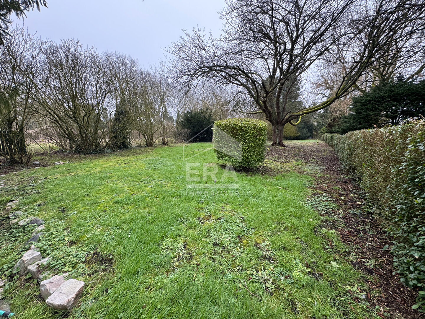 Photo MEURCHIN BEAU TERRAIN CONSTRUCTIBLE ET ARBORE DE 1200m2 image 2/4