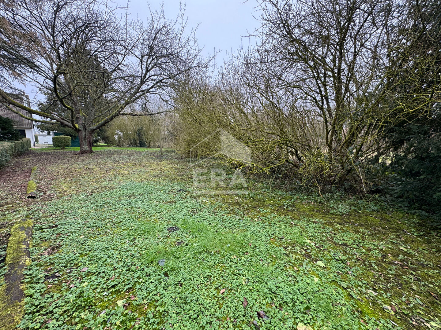 Photo MEURCHIN BEAU TERRAIN CONSTRUCTIBLE ET ARBORE DE 1200m2 image 3/4