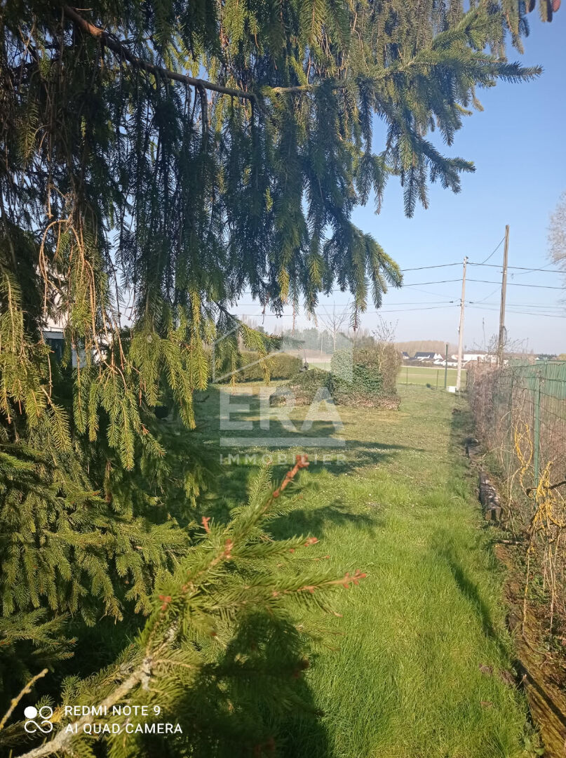 Photo MEURCHIN BEAU TERRAIN CONSTRUCTIBLE ET ARBORE DE 1200m2 image 4/4