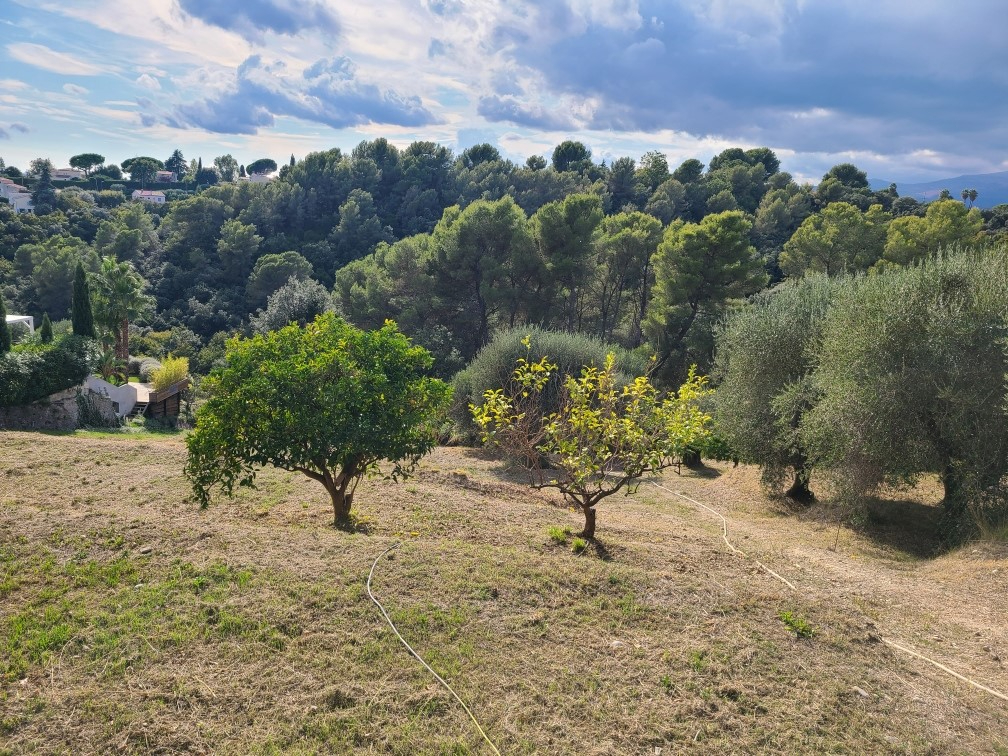 Terrain Saint Paul De Vence 2632 m2