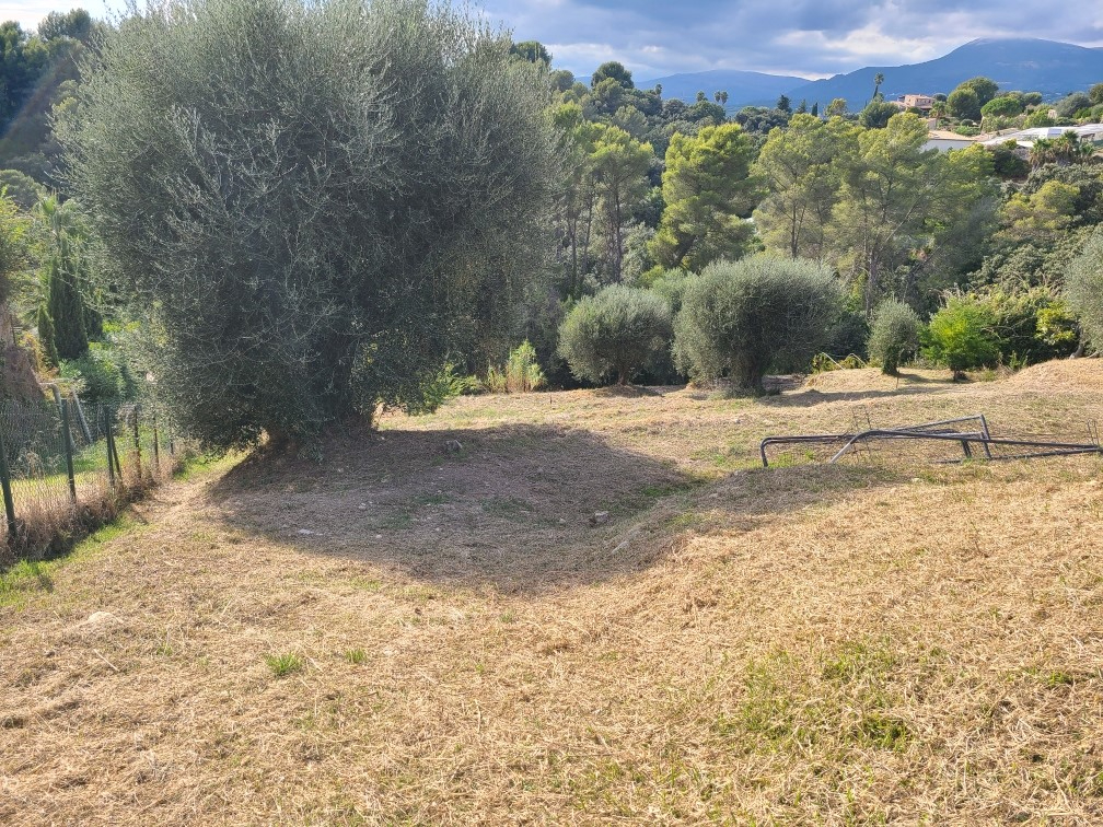 Photo Terrain Saint Paul De Vence 2632 m2 image 3/3