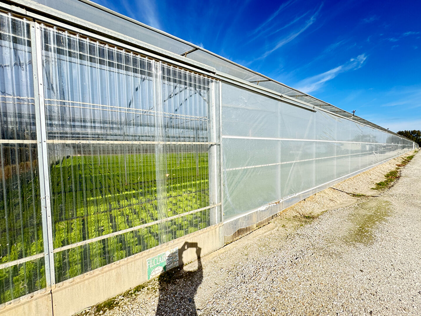 Photo Domaine agricole Bompas 18 000 m2 image 2/5