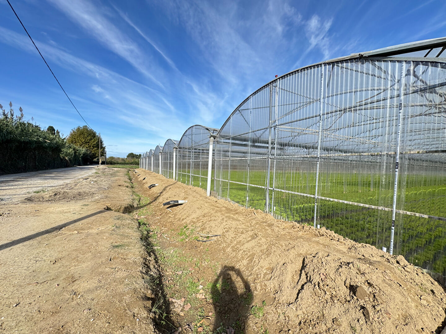 Photo Domaine agricole Bompas 18 000 m2 image 3/5