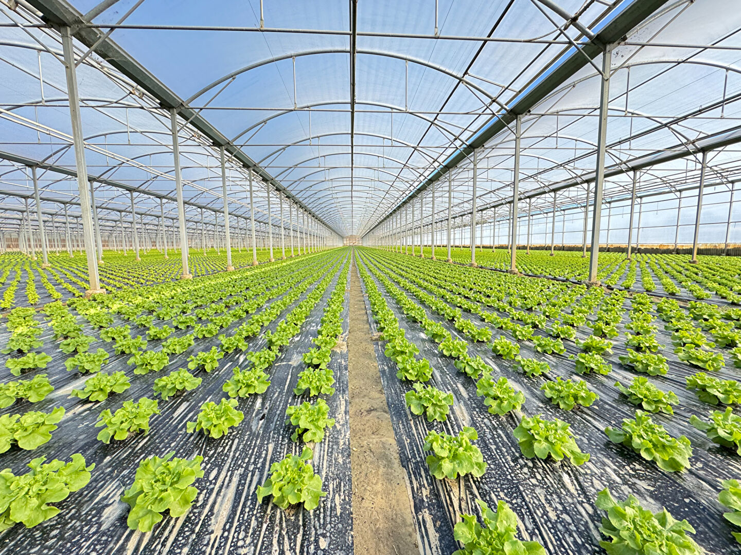 Photo Domaine agricole Bompas 18 000 m2 image 5/5