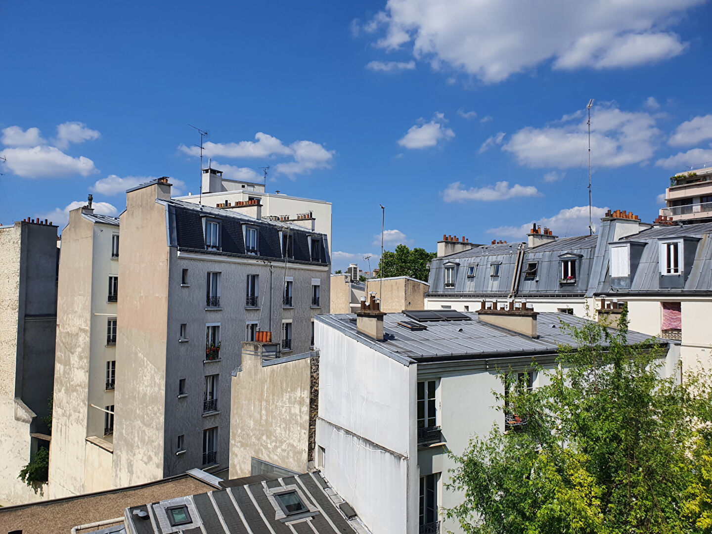 Agence immobilière de Immopolis