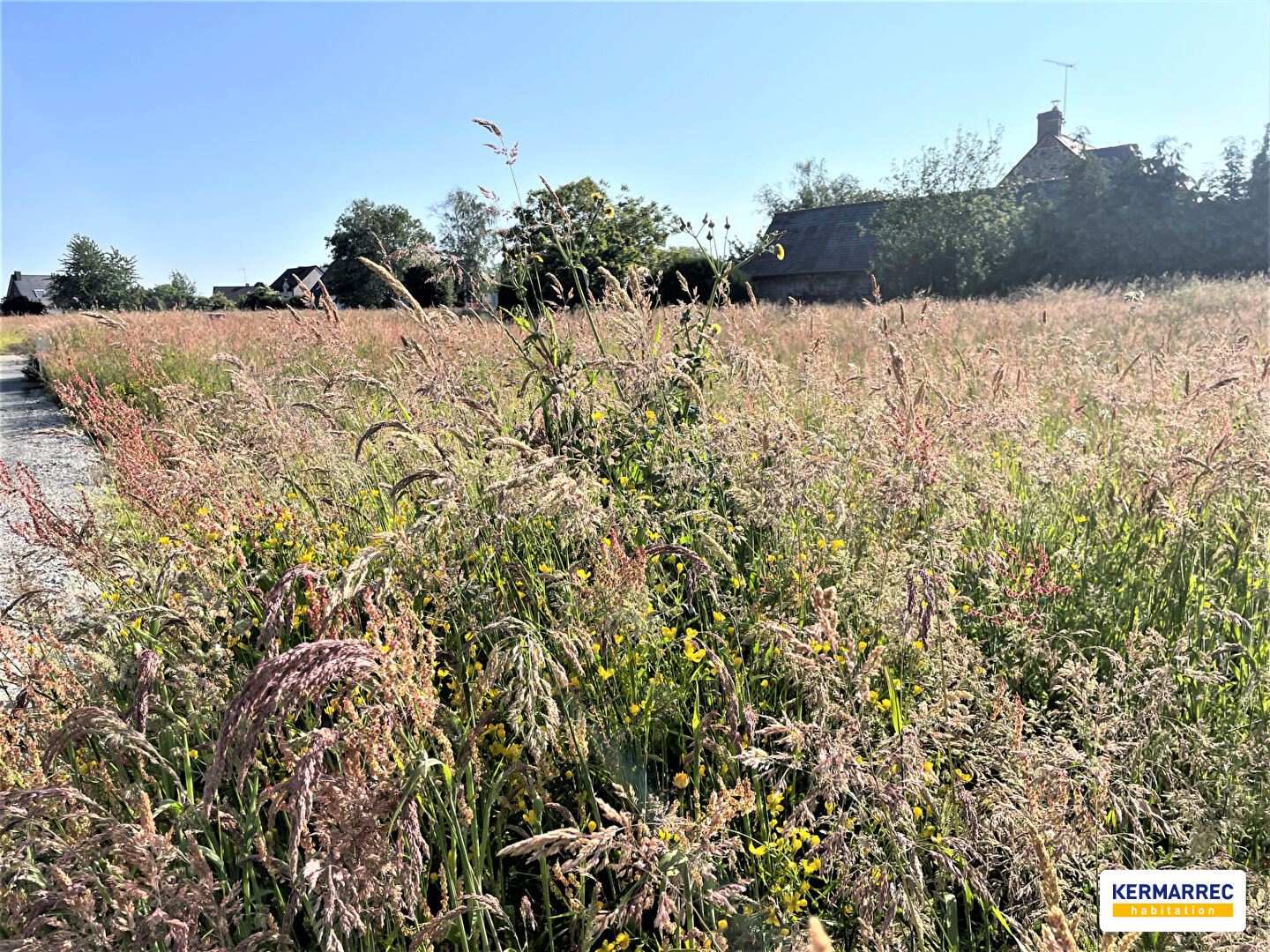 Photo A VENDRE Terrain Constructible Viabilisé de 436 m² à Mondevert - 40 252  HAI image 2/3