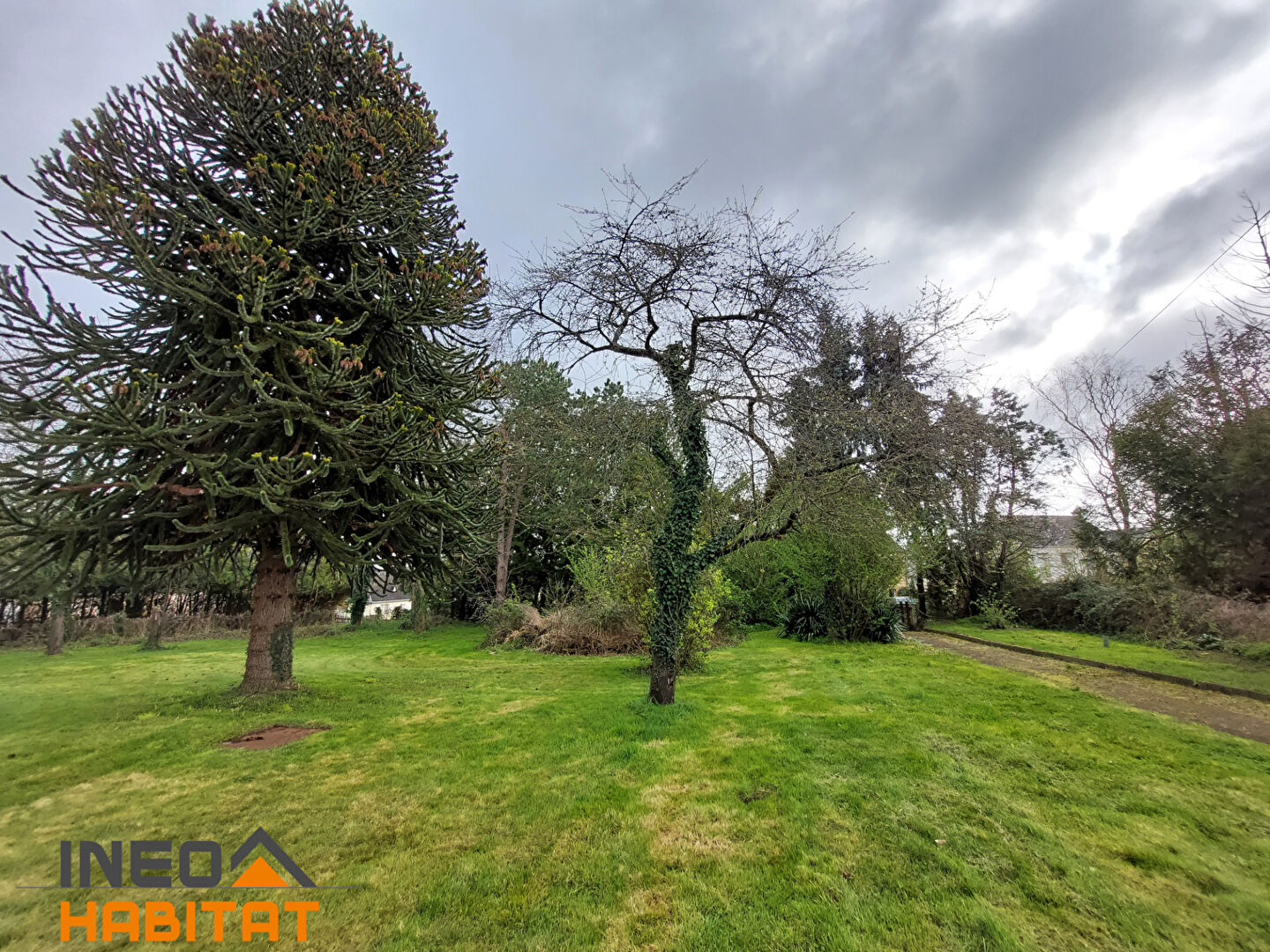 Photo Terrain Laille 1031 m2 image 2/3