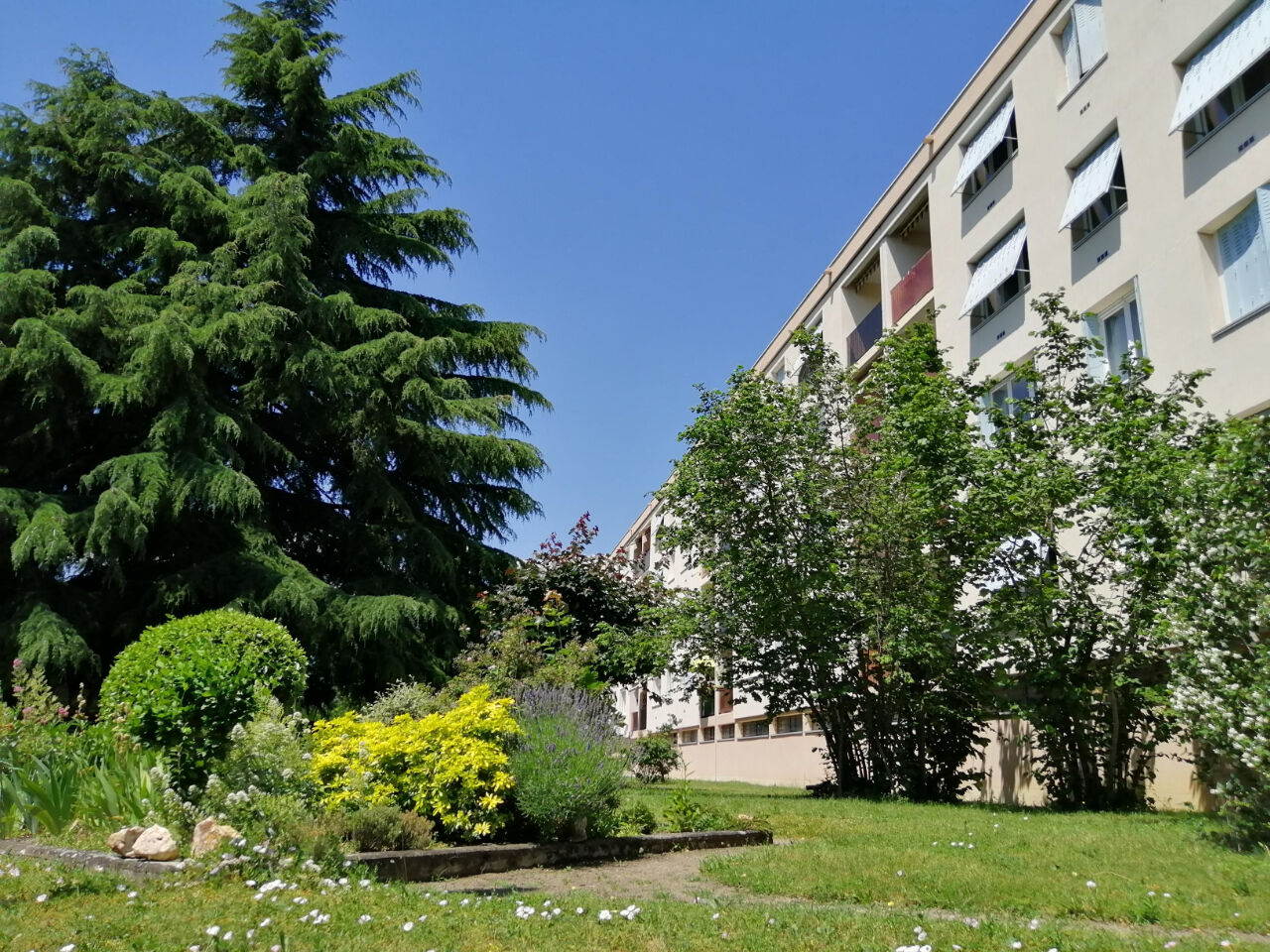Agence immobilière de Montferrand Immobilier
