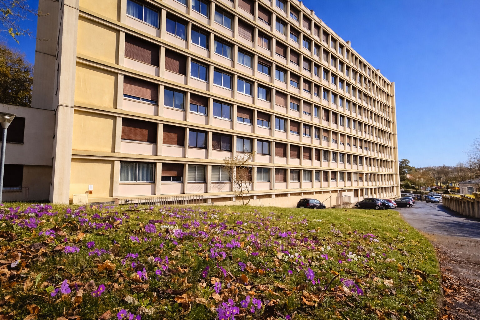 Agence immobilière de 
 ERA Montferrand Immobilier - ERA LAFAYETTE IMMOBILIER 

