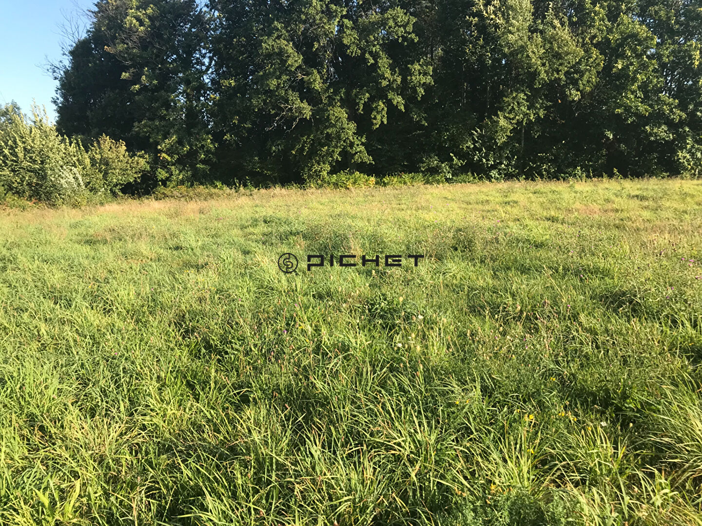 Agence immobilière de Pichet Immobilier Services - Pichet Immobilier Perigueux