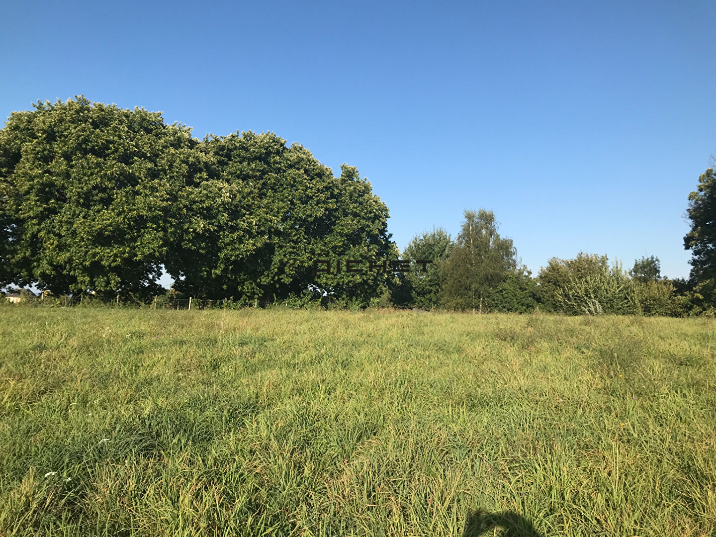 Photo Terrain Sadroc 2000 m2 image 2/3