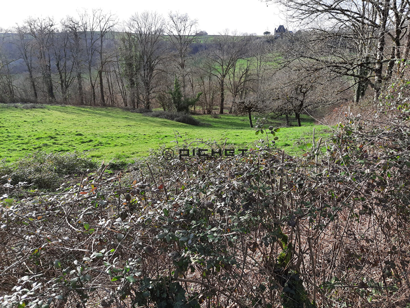 Photo Terrain Saillac 5840 m2 image 3/3