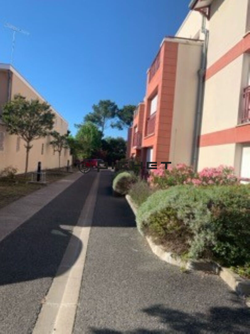 Photo GUJAN MESTRAS image 5/5