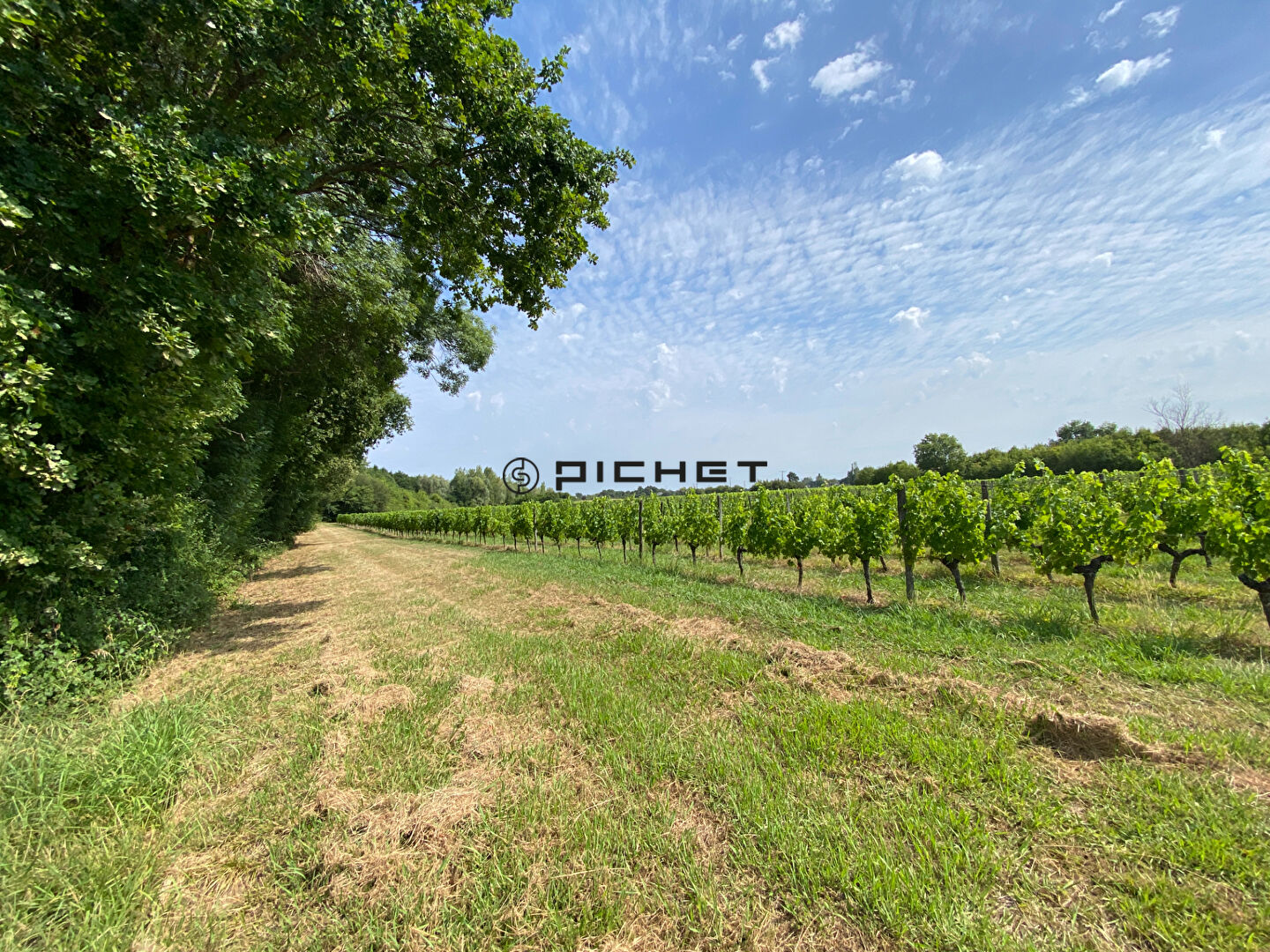 Terrain agricole Arveyres 21 820 m2