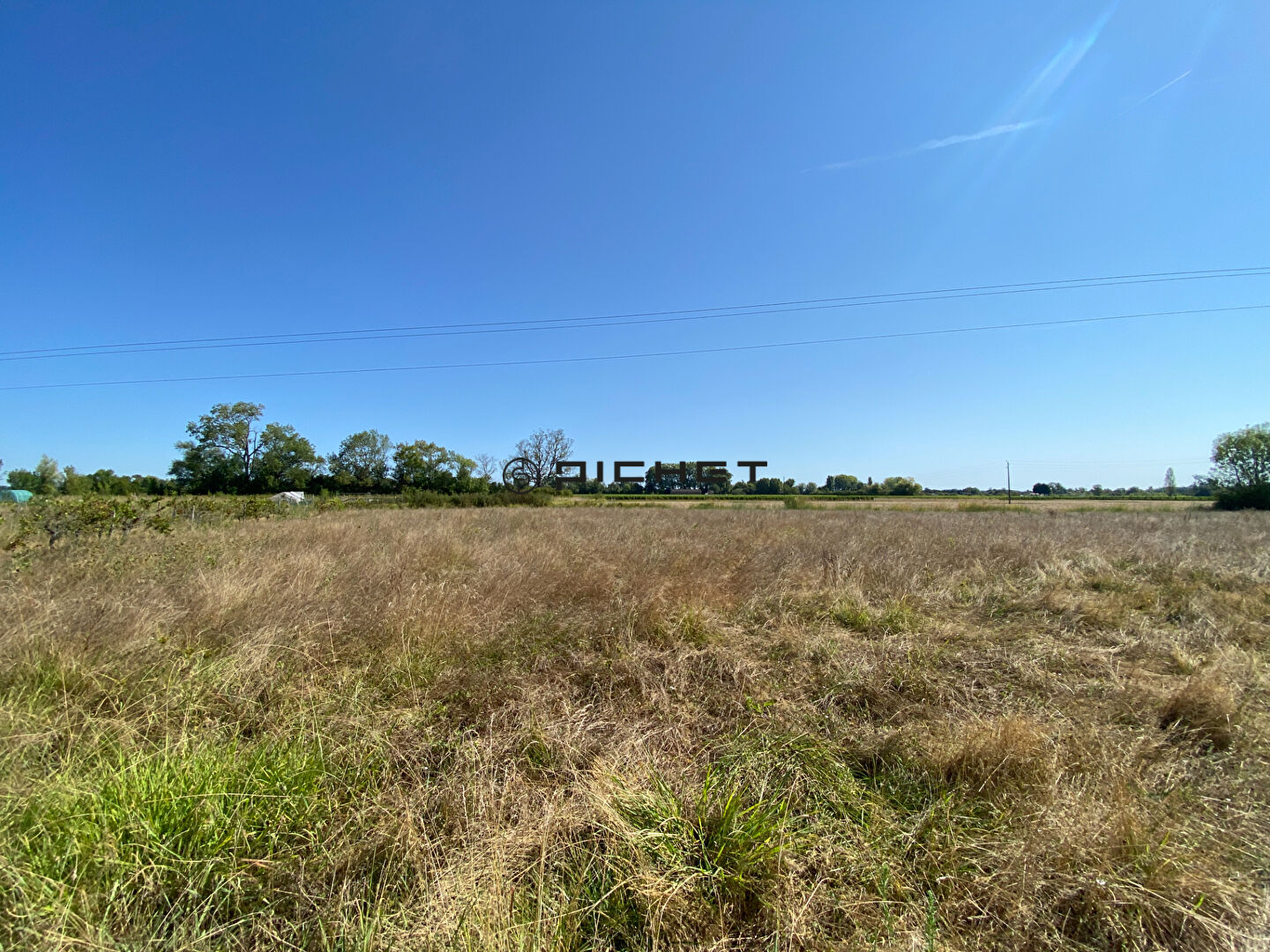 Terrain Genissac 3498 m2